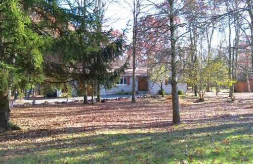 Jim Thorpe Maison | Serenity and Fun all in one in this Cozy Pocono Cabin
