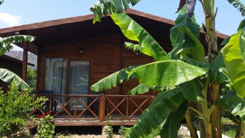 Cirali Maison | Serenity Bungalows
