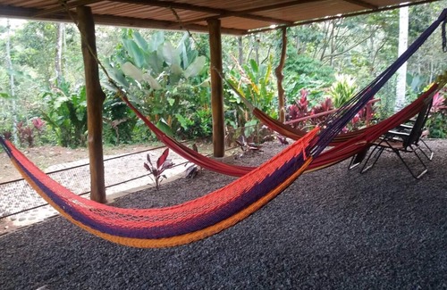 Venado Maison | Serenity Master Suite nestled on a 3-acre rain forest near La Fortuna!