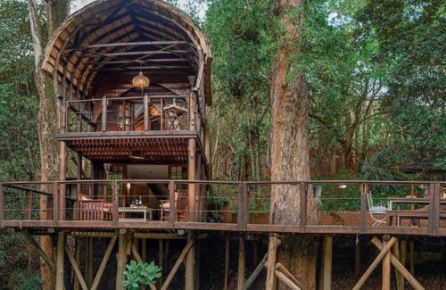 Buffelspruit Cabine | Serenity Mountain and Forest Lodge