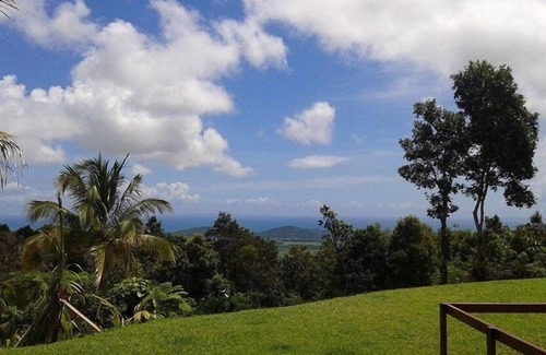 Pitahaya Lit Et Petit-Déjeuner | Serenity Rainforest Retreat