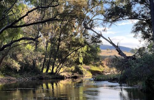 Mole River Autre | Serenity Ranch