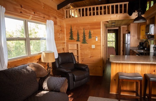 Mill Spring Cabine | Serenity Ridge Cabin C: Couple's Escape
