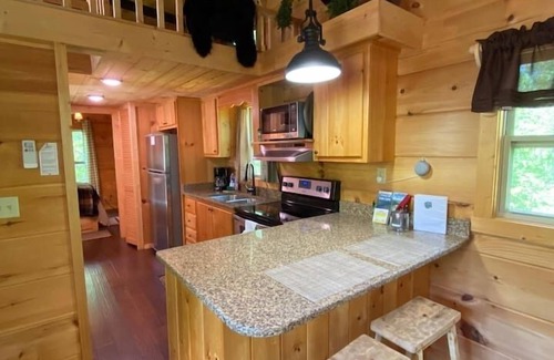 Mill Spring Cabine | Serenity Ridge Cabin C: Couple's Escape