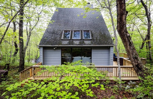 Chestnut Springs Copropriété | Serenity Slope with Wintergreen Advantage