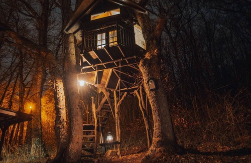Sevry Maison | Set in a full green environment with large garden, treehouse and 70a of woodland