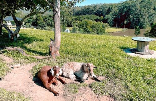Beerwah Maison | Seven Peaks Farm Stay
