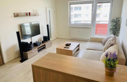 Trencin Appartement | SGL apartment Liptovska with free parking