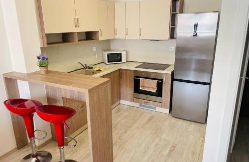 Trencin Appartement | SGL apartment Liptovska with free parking