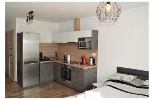Trencin Appartement | SGL apartments Lavickova