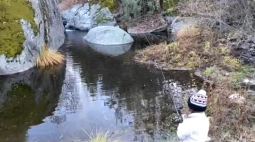 Miramonte Maison | Shady Creekside Cabin