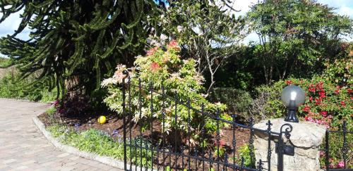 Arvagh Maison | SHALOM - IN THE HEART OF THE LAKES