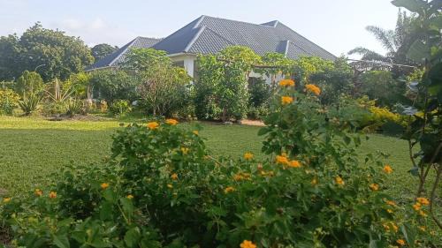 Malindi Maison | Shalom Wellspring Homestay