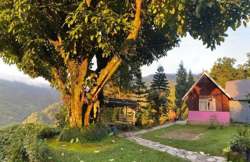Kalimpong Maison | Shangdhan Pine Homestay