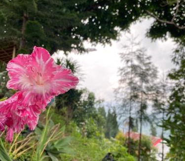 Kalimpong Maison | Shangdhan Pine Homestay