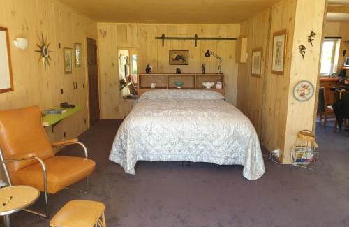 Matamata Maison | Shargmor Stable