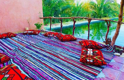 Siwa Cabine | Shasha Ecolodge