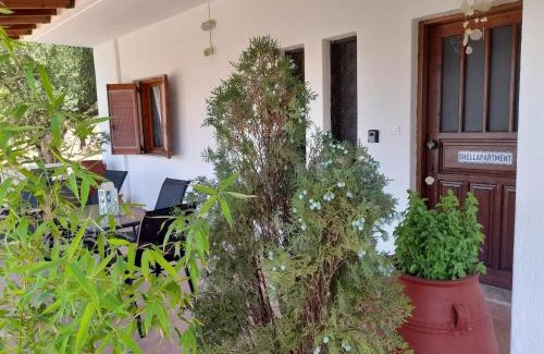 Kalo Chorio Appartement | shellapartment