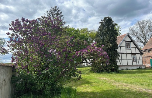 Iden Cottage | Maison de berger dans le Wische, une maison de vacances dans la zone de conservation de la nature de l'Elbe