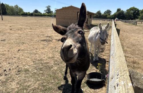 Lechlade Maison | Shepherds Rest Cotswolds Cottage Farm Stay With Pool