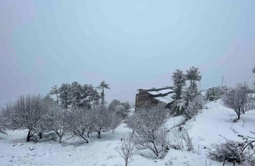 Shimla Appartement | Shimla Best place to live.