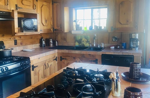 Mammoth Spring Cabine | Shipp's Landing-Cozy Secluded Retreat on the Water