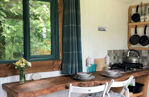 Bethania Cabine | Shire the Shepherd's Hut - Welcoming Dogs