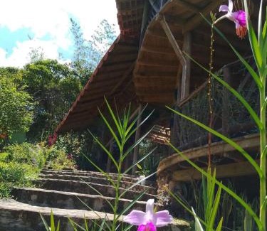 San Carlos Cabine | Shiva's Temple