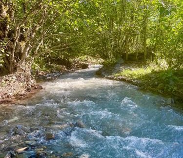 Racha-Lechkhumi and Lower Svaneti Appartement | Shoda Valley შოდა ველი