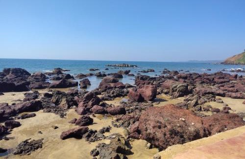Arambol Maison | Shree Sai Beach Stay