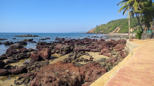 Arambol Maison | Shree Sai Beach Stay