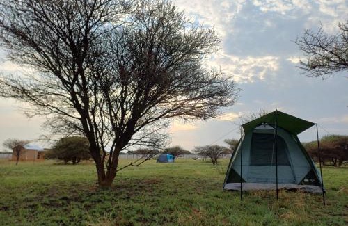 Mmabatho Autre | Shumba Camping Site