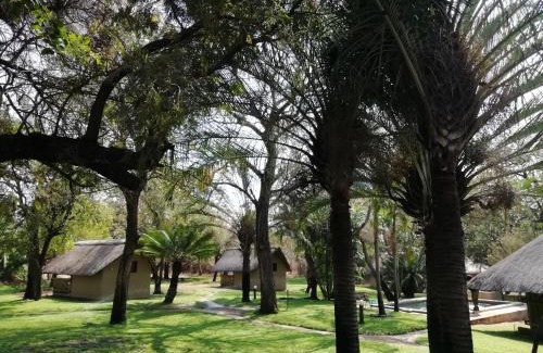 Hoedspruit Cabine | Shumba Safari Bush Camp