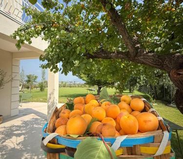 Capaccio Scalo Lit Et Petit-Déjeuner | Si Sofia country house