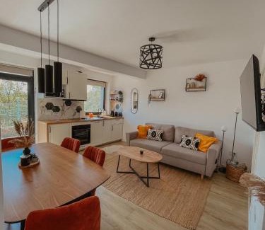 Sura Mare Appartement | Sibiu City Lights