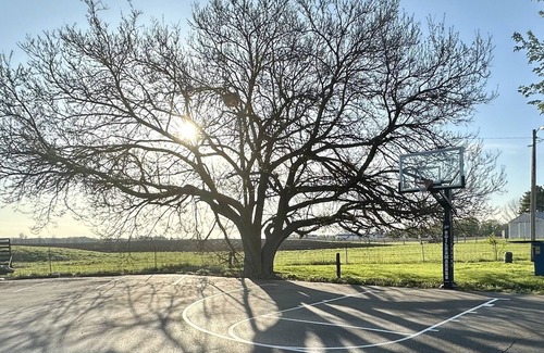 Sheridan Maison | Sidelines @ Grand Park Game Room Basketball Court Sleeps 13+