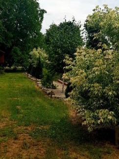 Szydlow Maison | Siedlisko Vincent