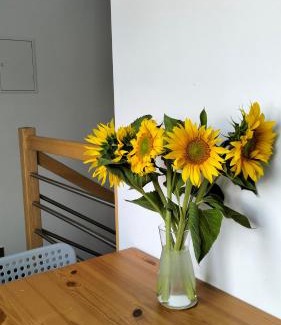 Marcinowice Appartement | Sielska Dolina pod Ślężą