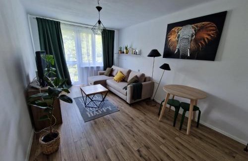 Rzeszow Appartement | Sienkiewicza apartament MULTI HOUSE