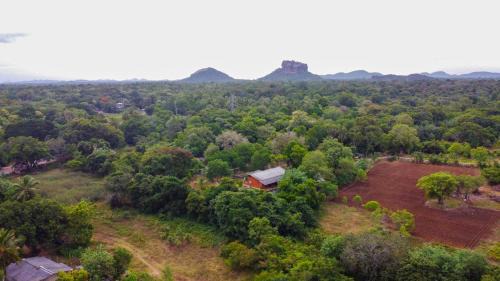 Sigiriya Hôtel | Sigiriya Cottage