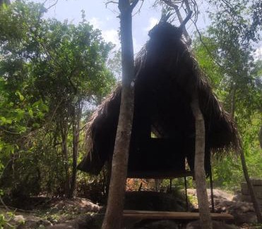 Dambulla Cabine | Sigiriya Eco Lodge & Accommodation - Sigiriya CES Field Base