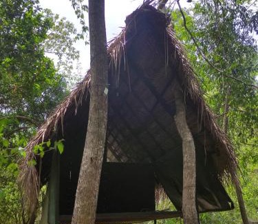 Dambulla Cabine | Sigiriya Eco Lodge & Accommodation - Sigiriya CES Field Base