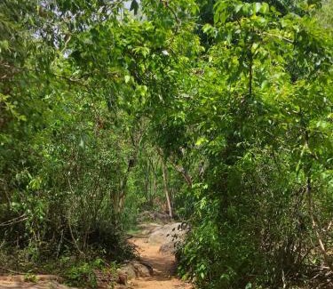 Dambulla Cabine | Sigiriya Eco Lodge & Accommodation - Sigiriya CES Field Base