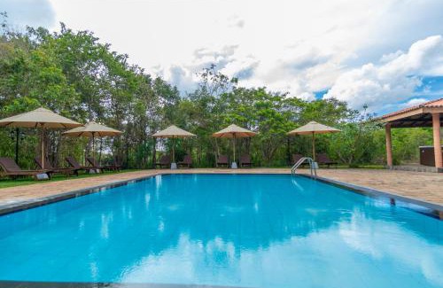 Dambulla Station Balnéaire | Sigiriya Forest Edge By Marino Leisure