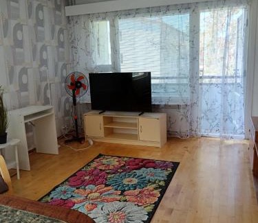 Lieksa Appartement | Siisti valoisa kolmio