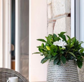 Nea Fokaia Appartement | Silot apartment 3