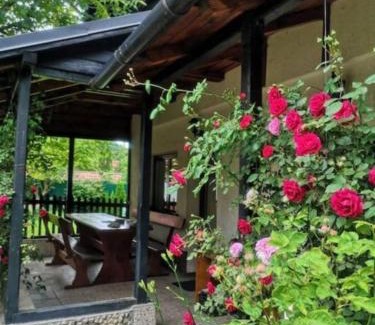 Bran Maison | Silva Cabin - In the heart of Bran, next to the Castle w/free parking