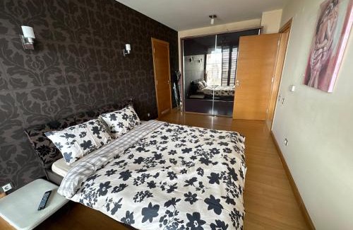 rayon Triaditsa Appartement | Silver city