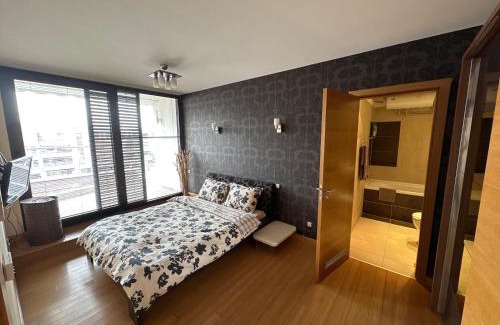 rayon Triaditsa Appartement | Silver city