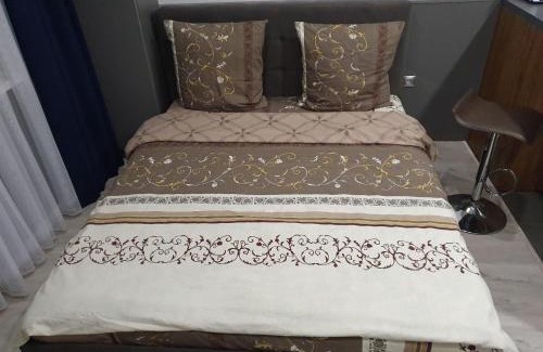 Uzhhorod Appartement | Silver Star Apartment